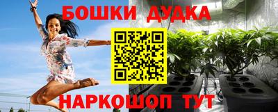 mdpv Вышний Волочёк