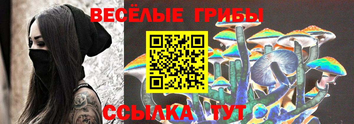 Владимир  Псилоцибиновые грибы ЛСД  Вход с VPN 